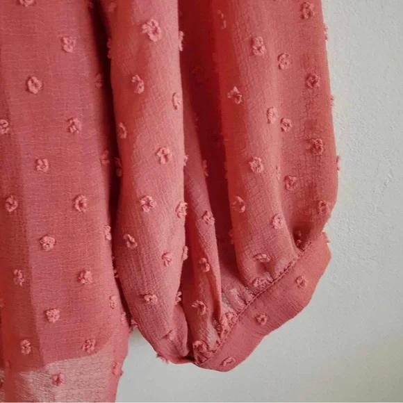 Jodifl Swiss Dot Rust Floral Embroidery Top - Picture 4 of 8